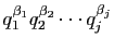 $ q_1^{\beta_1}q_2^{\beta_2}\cdots q_j^{\beta_j}$