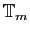 $ \mathbb{T}_m$