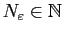 $ N_\varepsilon \in\mathbb{N}$