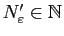 $ N'_\varepsilon \in\mathbb{N}$
