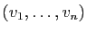 $ (v_1,\dots,v_n)$