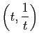 $ \left(t,\dfrac{1}{t}\right)$