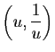$ \left(u,\dfrac{1}{u}\right)$