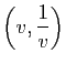 $ \left(v,\dfrac{1}{v}\right)$
