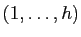$ (1,\ldots,h)$