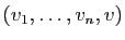 $ (v_1,\ldots,v_n,v)$