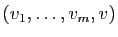 $ (v_1,\ldots,v_m,v)$