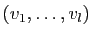 $ (v_1,\ldots,v_l)$
