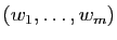 $ (w_1,\ldots,w_m)$