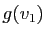 $ g(v_1)$