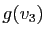 $ g(v_3)$
