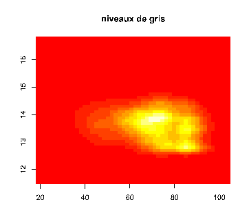 \includegraphics[width=8cm]{nivgris}