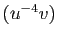 $ (u^{-4}v)$