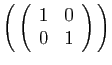$ \left( \left(\begin{array}{cc}1&0 0&1\end{array}\right) \right)$