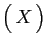 $ \big( X \big)$