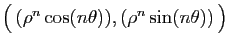 $ \big( (\rho^n \cos(n\theta)),(\rho^n\sin(n\theta)) \big)$