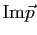$ \Img \vec p$