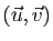 $\displaystyle (\u,\v)$