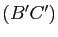 $ (B'C')$