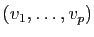 $ (v_1,\ldots ,v_p)$