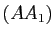 $ (AA_1)$