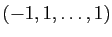 $ (-1,1,\dots,1)$