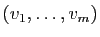 $ (v_1,\dots,v_m)$