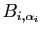 $ B_{i,\alpha_i}$
