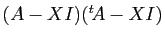 $ (A-XI)({^t\!A}-XI)$
